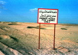 Camel race track, Abu Dhabi