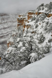 AZ - Grand Canyon NP Mather Point Clearing.jpg