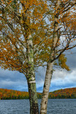 NY - Adirondacks Colby Lake.jpg