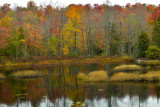 NY - Adirondacks Fall Pond 1.jpg