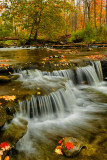NY - Chittenango SP 4.jpg