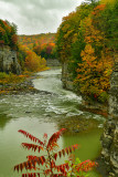 NY - Letchworth SP Fall Canyon 2.jpg