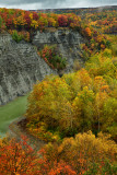 NY - Letchworth SP Fall Canyon 4.jpg