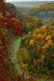 NY - Letchworth SP Fall Canyon 6.jpg