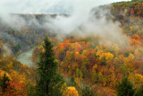 NY - Letchworth SP Fall Canyon 8.jpg