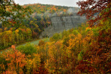 NY - Letchworth SP Fall Canyon 12.jpg
