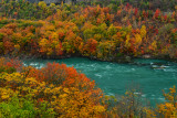 NY - Whirlpool SP Niagara Gorge 1.jpg