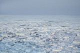 MV Friesland crossing the frozen Wadden Sea - MS Friesland steekt bevroren Waddenzee over