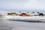 Skalelv