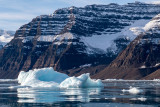 Vikingebukt -Scoresby Sund - Greenland