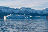 Iceberg - IJsberg