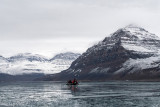 Zodiac cruise in icy fjord - Zodiac cruise in ijzig fjord