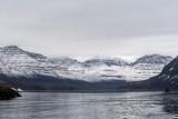 Zodiac cruise in icy fjord - Zodiac cruise in ijzig fjord