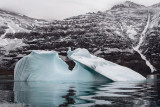 Iceberg - IJsberg