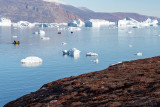 Zodiac cruise between icebergs - Zodiac cruise tussen ijsbergen