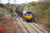 190331_007-Edit.jpg