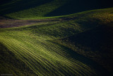 Landscapes-Paesaggi