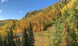2019 Colorado Fall Foliage
