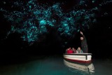 Waitomo Glow Worm Cave - pic from brochure - photos prohibite