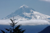 Light playing with Mt Hood