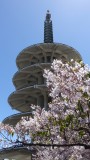 Japantown Cherry Blossom Festival