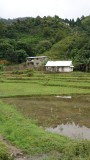 Small farm along Route Nationale 2