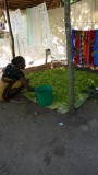 Woman drying Ylang Ylang on Nosy Sakatia