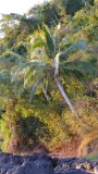Madirokely Beach Sunset Palm Trees