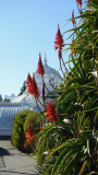 Conservatory of Flowers in Golden Gate Park