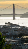 The Marina District and Golden Gate Bridge South Tower