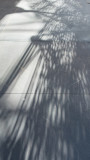 Transbay Transit Center Shadows