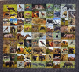 Large African Safari Quilt.jpg