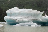 Large Muddy Iceberg from Glacier