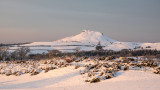 Roseberry Topping