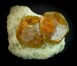 Grossular-andradite crystals, each 12 mm in diameter, Fushan Fe deposit, Xingtai, Hebei, China