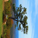 View from High Point Monument 