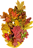 Fall bouquet of leaves
