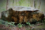 Gigantic rock with iron ore markings