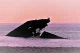 SS Atlantus Wreck at sunset time.