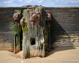 Groyne, Cleethorpes.jpg