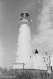 Flamborough Head Lighthouse, August 2019
