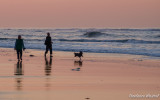 Sunset dog walk