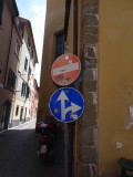 i genio italico