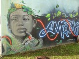 les murs de Pointe--Pitre