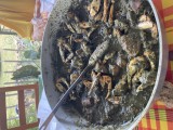 crabes - aprs - kalalou