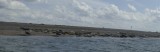 Blakeney