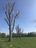 20200420_145602244_iOS_resize.jpg