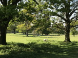 20200422_144637536_iOS_resize.jpg