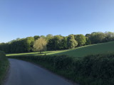 20200426_173236931_iOS_resize.jpg