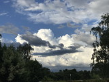 20200613_182130221_iOS_resize.jpg